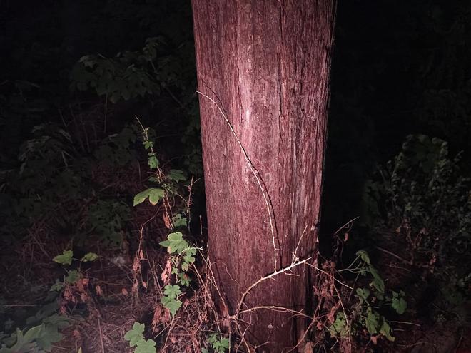 小魔方头灯体验让你爱不释手!瓦力棋牌超轻超能!Fenix(图17) 小魔方头灯体验让你爱不释手!瓦力棋牌超轻超能!Fenix(图17)